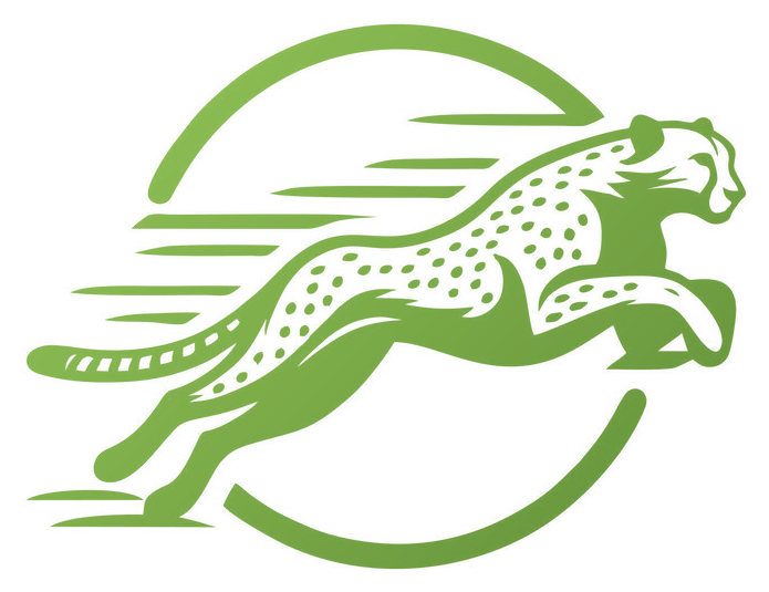 CheetahExpress logo
